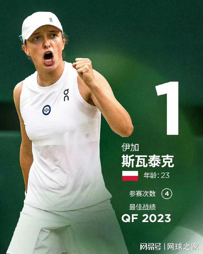 的坚固基石 的坚固基石